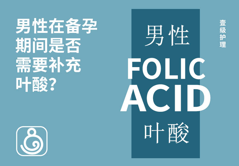 男性在備孕期間是否需要補充葉酸？
